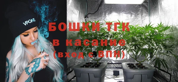 тгк Богородск